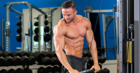 12 Week Fat Destroyer Workout for Beginners