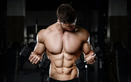 Muscle Gain - Push, Pull, Legs Workout (Beginner)
